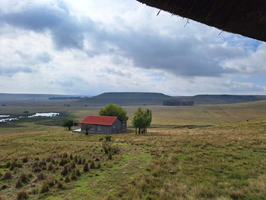11 Bedroom Property for Sale in Vrede Free State